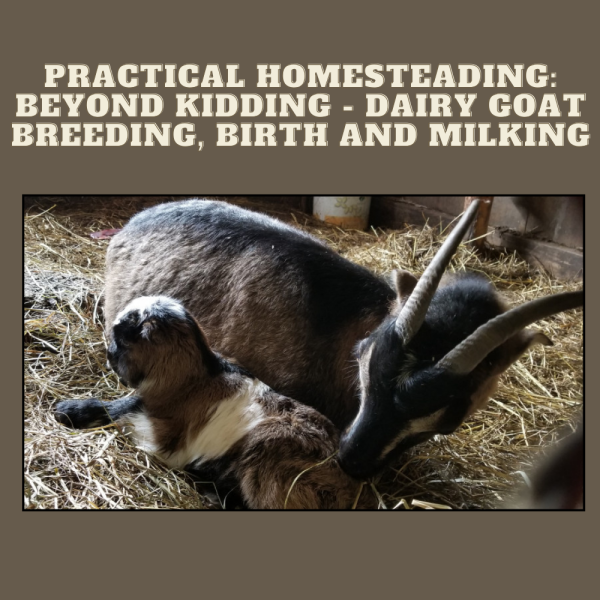 Practical Homesteading online course
