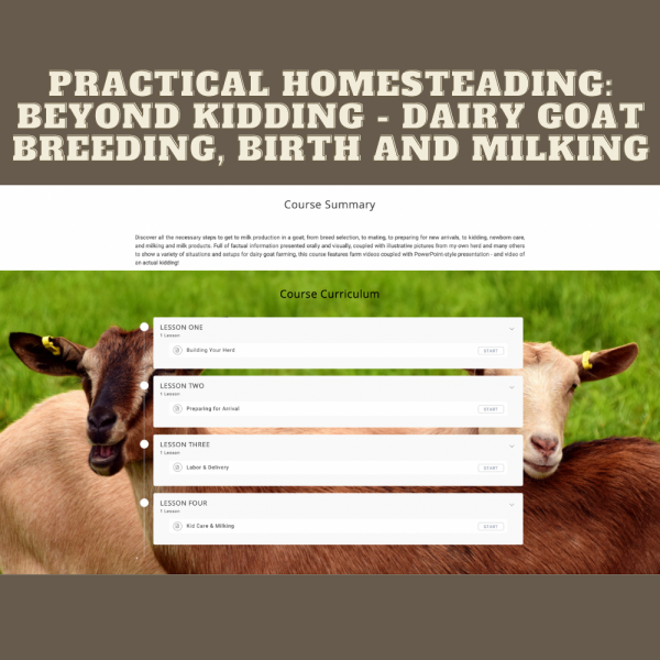 practical homesteading beyond kidding