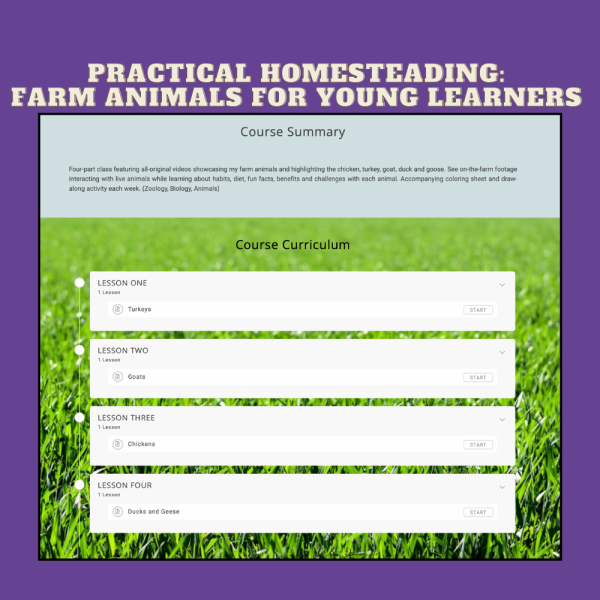 Practical Homesteading for Homeschool Families