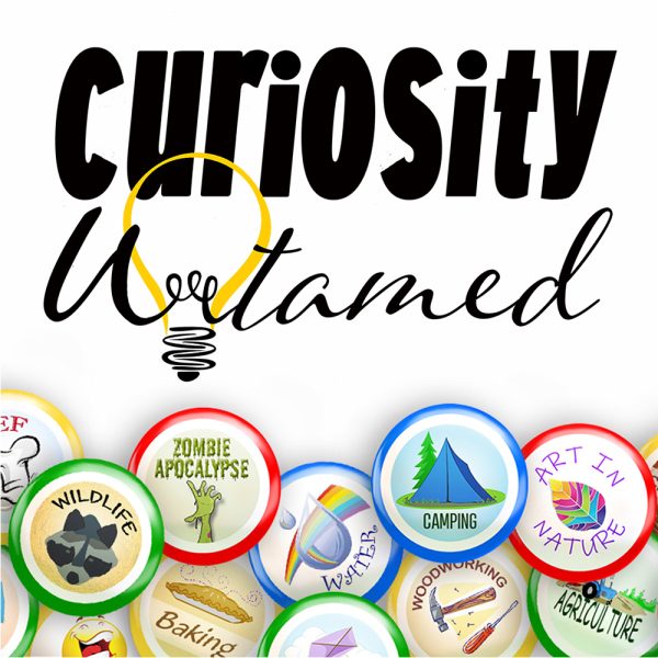 Curiosity Untamed Homeschooling