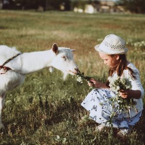 homesteading with dairy goats