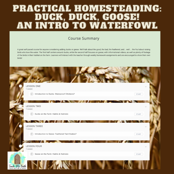 intro to waterfowl for homeschooling