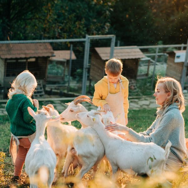 Story time on the farm